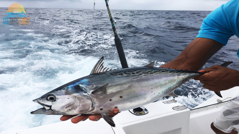 Sea fishing in Side Turkey