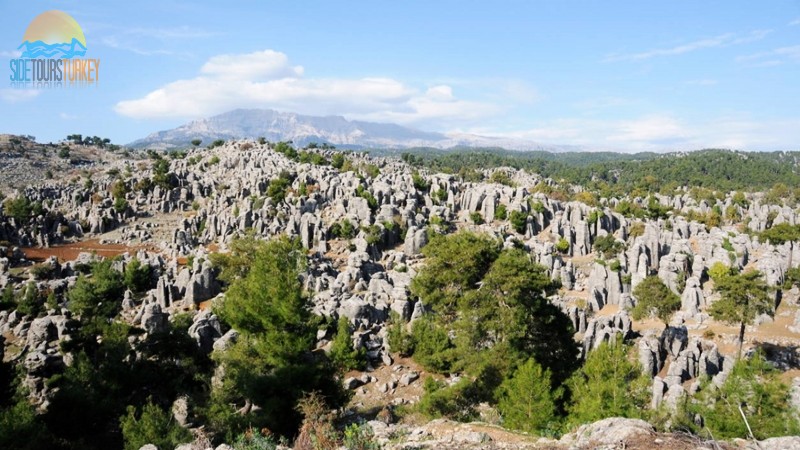 Tazi Canyon